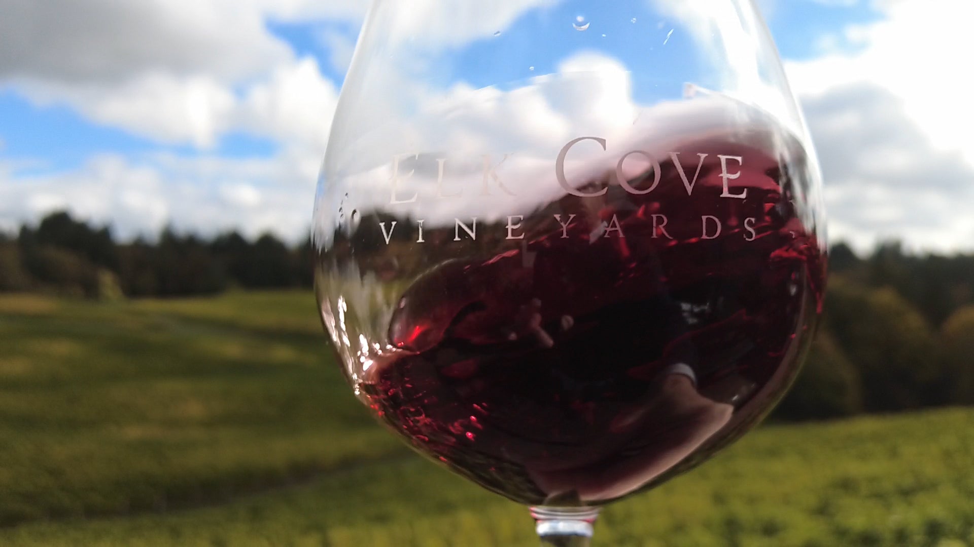 Load video: Wine swirling in a glass very slowly. The words Elk Cove are on the glass. The background is the vineyard at Elk Cove Winery, Gaston, Oregon.